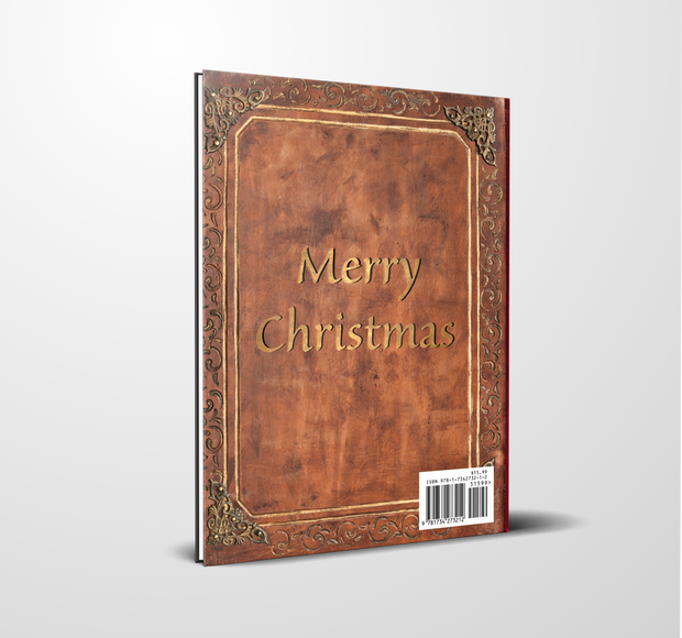 Santa Fake Childrens Book